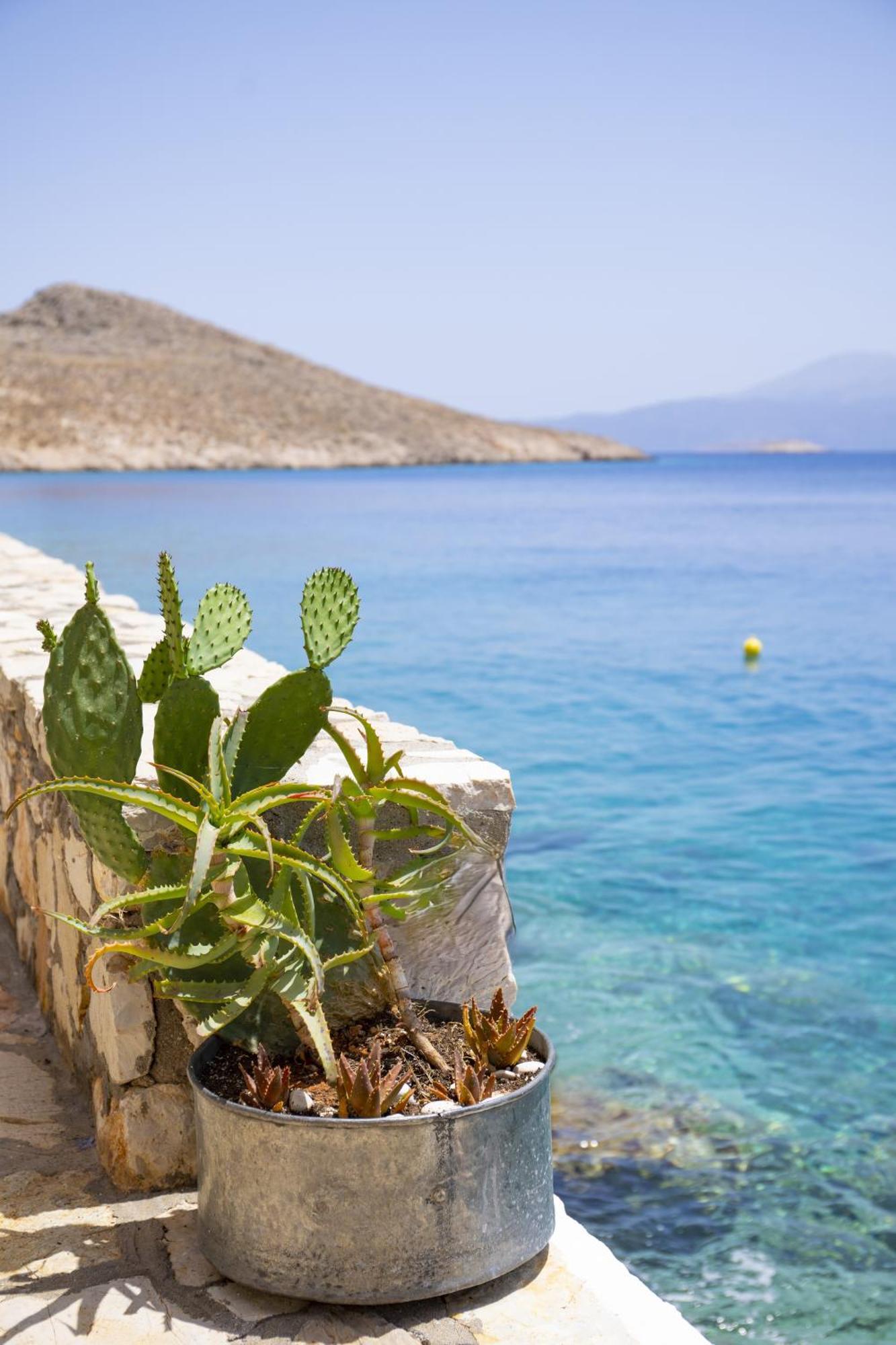Villa Electra Chalki Town Exterior foto